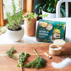 Trios de voyage Kit de culture de <span class=keywords><strong>jardin</strong></span> à la maison avec poivre de Cayenne plante pépinière Pot de fleur conception utilisation du sol cadeaux de jardinage idées de panier - Product Image 5