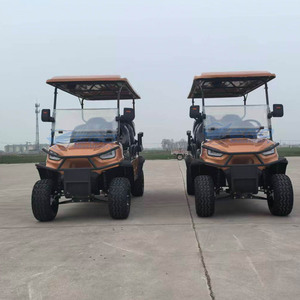 Carritos de Golf Personalizados de 6 Plazas, Estilo Combustible, Nuevo Modelo, Color Naranja, para Turismo, Más Vendidos - Product Image 3