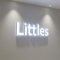 Letras de Canal 3D LED Personalizadas con Iluminación Frontal para Logotipos de Oficinas y Negocios - Letrero LED Personalizado con Logotipo 3D