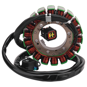 Generatore di parti del motociclo bobina statore in rame Comp per <span class=keywords><strong>Suzuki</strong></span> DR650SE 1996-2017 XF650 <span class=keywords><strong>Freewind</strong></span> muslimah - Product Image 1