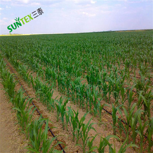 Cinta de Goteo para Riego (2000m) Agrícola, Tubo de <span class=keywords><strong>Polietileno</strong></span> de 16mm con <span class=keywords><strong>Gotero</strong></span> Plano - Product Image 5