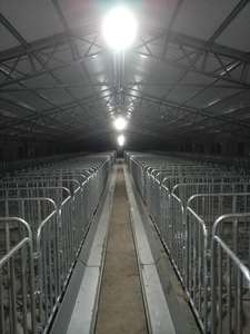 10000ใหม่ล่าสุดที่ใส่หมูท้องแบบร้อนชุบสังกะสีทนทานพร้อมระบบให้อาหารอัตโนมัติและอายุการใช้งาน20-25ปี - Product Image 3