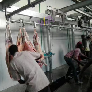Equipo de matadero de ovejas, máquina de matanza de cordero <span class=keywords><strong>ritual</strong></span> para cabra Halal, línea de matadero llave en mano, maquinaria para ovejas - Product Image 2