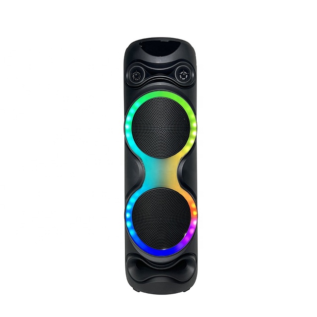 Hot-Selling Factory Price 60W Dual 10-Inch Portable Speaker USB RGB Built-in Battery Remote Control EQ for Outdoor Party Events