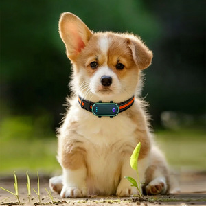 Smart Pet <b>Tracker</b> With Beidou <b>GPS</b> Waterproof For <b>Cats</b> And Dogs LED Display 800mAh Battery 1Year Life - Product Image 3