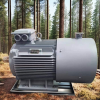 Générateur à aimant permanent triphasé 220 V 50 Hz 100 tr/min 10 kW 250 kW 240 V 80 kW certifié CE, capacité personnalisable