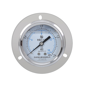 Manomètre axial anti-vibrations à montage sur panneau Suzhou Xuansheng YN60ZT, 60 mm, acier inoxydable, précision 2,5 bar MPa - Product Image 1