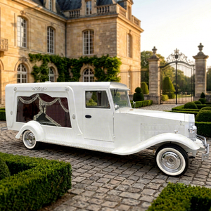 Camion-cercueil électrique moderne de transport spécial 2026 et moto-cercueil à vendre - Product Image 1