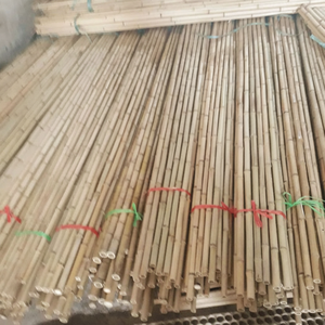 Estacas de Bambú Agrícolas Resistentes, Varillas de Soporte de Bambú Natural para Jardín, Uso en Viveros y Granjas - Product Image 4