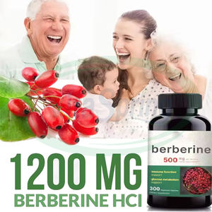 ASAP Extracto de hierbas naturales Berberina Hcl Cápsulas 500mg 1000mg Suplementos Cápsulas de berberina - Product Image 2