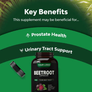 Ausreson Health Care Antioxidante Cápsulas de remolacha Suplemento concentrado Cápsula de extracto de raíz de remolacha - Product Image 6