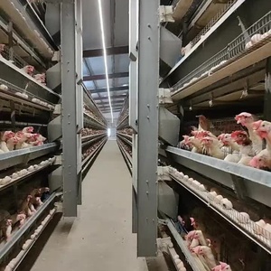 Thiết kế hiện đại đúc sẵn Kết Cấu Thép Xây Dựng Mới gia cầm nhà kho cho lớp Gà Thịt trang trại cho Gà Nuôi - Product Image 2