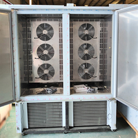 Aumesch 36 Plateaux Double Porte Congélateur-76 °C Congélation Rapide Dégivrage Automatique Réfrigération Commerciale pour Crème Glacée Gelato