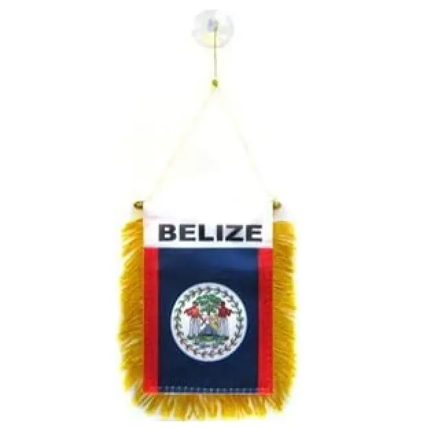 Di alta qualità personalizzato Belize Mini Banner 6 ''x 4'' gagliardetto Belizean 15x10 cm Mini striscioni 4x6 pollici ventosa tazza appendiabiti