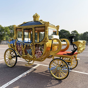 Chariot Équestre Électrique Royal Populaire 2025 – Élégante Calèche de Transport Spécial pour Mariages - Product Image 6