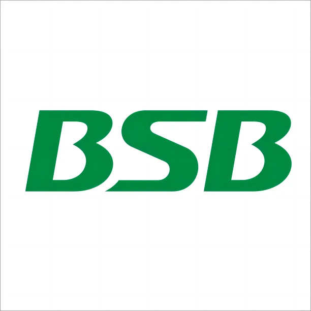 Zhejiang Bsb Electrical Appliance Co., Ltd.