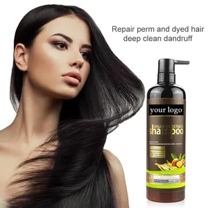 Özel logo Argan yağı şampuan ve saç kremi Keratin ile nemlendirici sülfat ücretsiz fas bakım Set