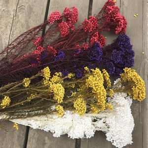 ดอกไม้แห้งสีขาวสำหรับตกแต่งพิธีแต่งงาน,ดอกไม้ตกแต่งธรรมชาติแห้งขายส่งโรงงานและพวงหรีด - Product Image 6
