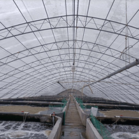 Serres à tunnel professionnelles en Chine avec squelette de tuyau rond pour l'agriculture/pêche/volaille/cochon/vache/mouton/élevage de poulet