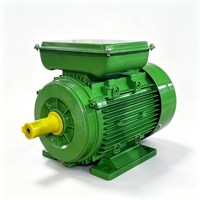 Moteur monophasé OEM série ML80M1-4, 0,75 kW, 1 CV, 1440 tr/min, 1500 tr/min, moteur asynchrone à haut régime, moteurs à induction avec 220 V/380 V
