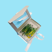 Caja de Regalo Rígida Ecológica con Tapa Magnética Transparente Reutilizable de Lujo Personalizada, Impresión Offset en Ventana