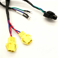 Harness Kabel Multi-branch Kustom dengan Konektor Plastik Berwarna-warni untuk Modul Pendingin dan Kontrol Elektronik