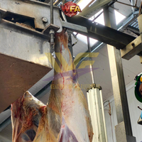 Système de machines de traitement des carcasses et d'abattage du bétail en acier inoxydable, conforme aux normes européennes, pour l'éviscération et le traitement des carcasses