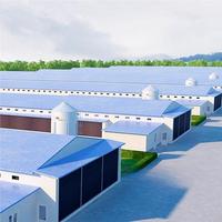 Structure légère en acier préfabriquée pour poulailler, cage à poules pondeuses, ferme avicole