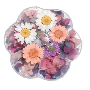 Nouvelles fournitures en gros préservé fleur pressée fleur séchée Nail Art 3D naturel vraie fleur séchée pour la décoration des ongles