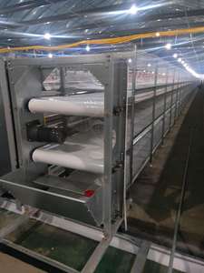 Meilleur prix 10000 oiseaux volaille ferme automatique poulet batterie cages pour pondeuses au kenya - Product Image 6