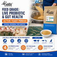 Poudre de levure active avec ≥80 % de cellules vivantes, microbes bénéfiques pour la colonisation intestinale animale et le soutien de la santé
