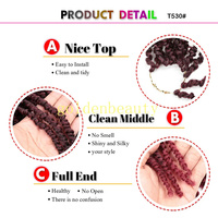 Cheveux tressés synthétiques passion twist pré-bouclés Extensions de cheveux tressés au crochet passion twist pré-torsadés