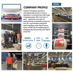 Sac Jumbo PP Volstar 1000 kg, Sac FIBC 1,5 Tonne pour l'emballage en vrac de sable et de <span class=keywords><strong>ciment</strong></span> industriels – <span class=keywords><strong>Prix</strong></span> Usine - Product Image 6