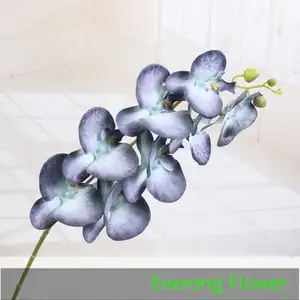 Chiffon flores toque real azul borboleta orquídea flor