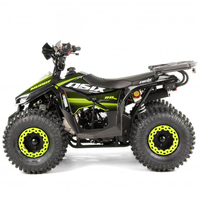 Tao Motor 2024 Quad Automatique avec Marche Arrière à Transmission par Chaîne 110cc pour Enfants