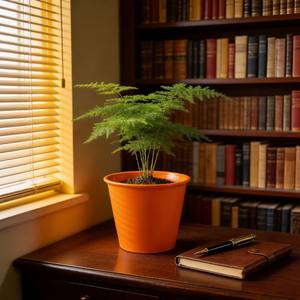 Évaluation <span class=keywords><strong>des</strong></span> fournisseurs : Pots de fleurs et jardinières d'intérieur en céramique et porcelaine avec finition émaillée, écologiques et durables - Product Image 3