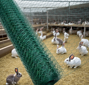 Bán Hot Lục Giác Gà Coop Dây Lưới Cuộn Dây Sắt Lưới Cho Gia Cầm Lồng Thỏ Cảnh Quan Bảo Vệ Tùy Chỉnh Cắt - Product Image 2