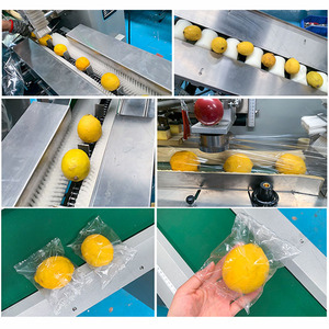 Hoàn Toàn Tự Động Rau Số Lượng Lớn Máy Đóng Gói Kiểm Soát Bầu Không Khí Rau Lá Rau Trái Cây Máy Đóng Gói - Product Image 2