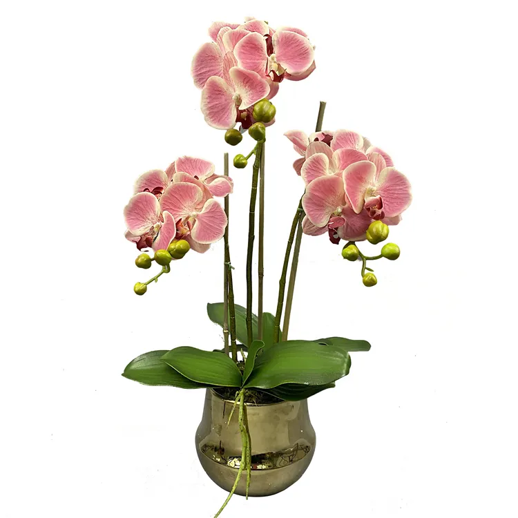 Pot de fleur orchidée dorée personnalisée, fleur artificielle orchidée en pot, tactile réel, fleur de décoration, pièces