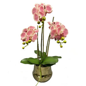 Pot de fleur orchidée dorée personnalisée, fleur artificielle orchidée en pot, tactile réel, fleur de décoration, pièces - Product Image 1