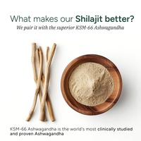 Gummies de Shilajit TK, best-seller Amazon, 60 pièces emballées individuellement, complément alimentaire, soutien OEM, améliore l'immunité