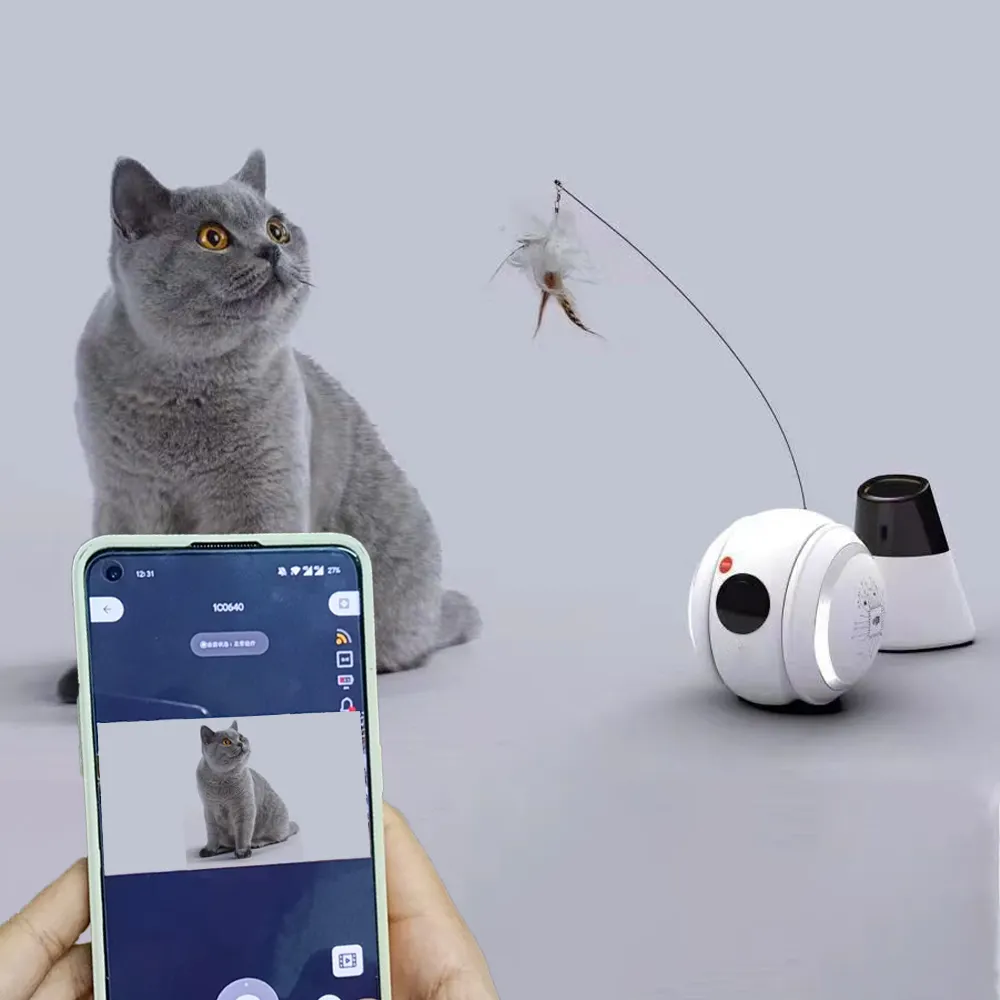 Smart Pet Toys Dog Cat Webcam Full HD 1080P Pet Toy Robot compagno intelligente