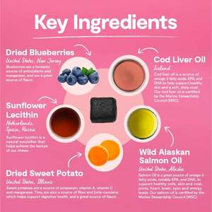 Complément alimentaire pour la peau et le pelage des chiens, marque privée OEM/ODM, avec collagène, biotine et vitamine C, contribue à maintenir une peau normale - Product Image 2