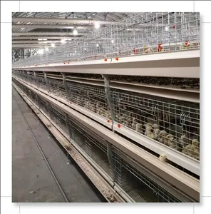 Broiler Poultry Farming Equipment H Type Automatic System Broiler Chicken Cage