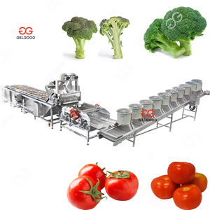 Légumes commerciaux de machine de graine de nettoyage de capacité personnalisée de 500 kg/h avec un dispositif de nettoyage de légumes de brosse - Product Image 5