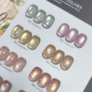 AILANUO Kit de vernis gel œil de chat avec livre de couleurs gratuit, OEM ODM, étiquette privée, ensemble de vernis gel œil de chat, design unique, 10 couleurs - Product Image 2