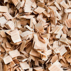 Virutas de Madera Limpias para Pulpa y Papel - Product Image 5