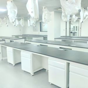 実験装置のベンチ-分析及びテスト装置のための安定した実験室のベンチ。ケーブル管理 & アクセサリーでカスタマイズ可能 - Product Image 2