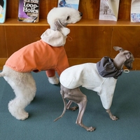 Vêtements pour animaux de compagnie à deux pattes avec fermeture éclair toutes saisons, vente en gros, logo personnalisé OEM ODM, couche d'air respirante, super doux, sweat à capuche patchwork pour chien