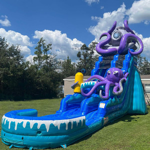 Jellyfish Inflatable <strong>Slide</strong> Cheap Price New Inflatable Water <strong>Slide</strong> <strong>Indoor</strong> <strong>Slide</strong> for Kids Inflatable Pool with <strong>Slide</strong> - Product Image 5
